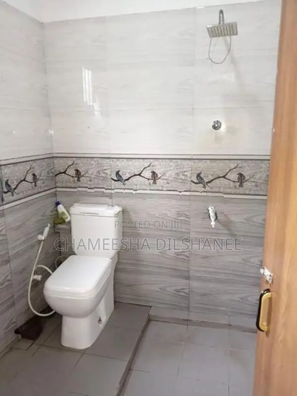 Room For Rent Girls Kalubowila