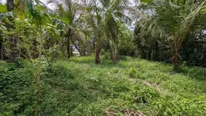 ගම්පහ නගරයට ආසන්නයෙන් වටිනා නේවාසික ඉඩමක්