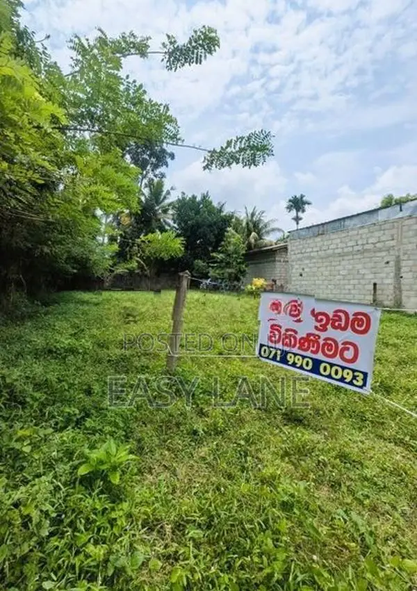 පනාගොඩ දැඩිගමුව ජය මාවතේ පර්චස් 10 ක නේවාසික බිම් කොටස