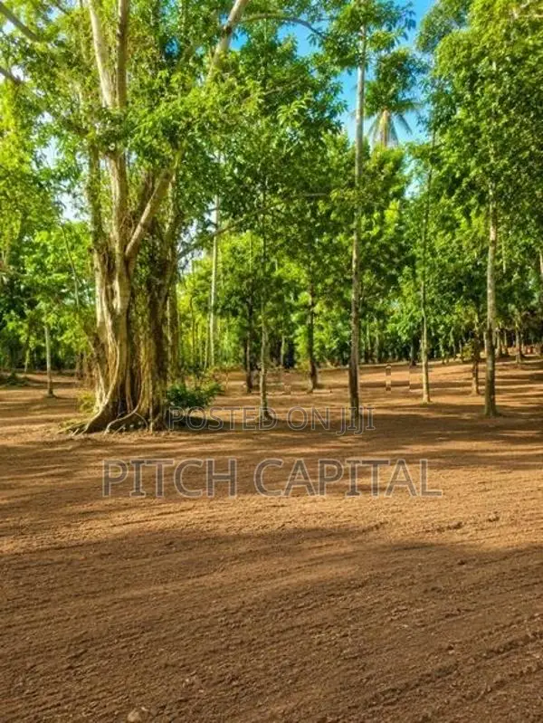 Land Facing Koggala Lake