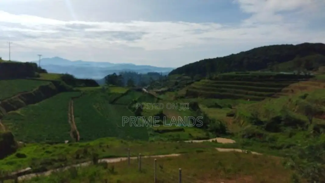 Land For Sale In Nuwaraeliya Abewela Nuwara Eliya