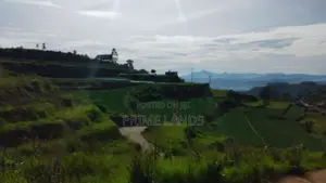 Land For Sale In Nuwaraeliya Abewela Nuwara Eliya