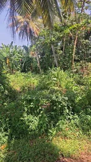 12 Perches of Land for Sale - Panadura Alubomulla