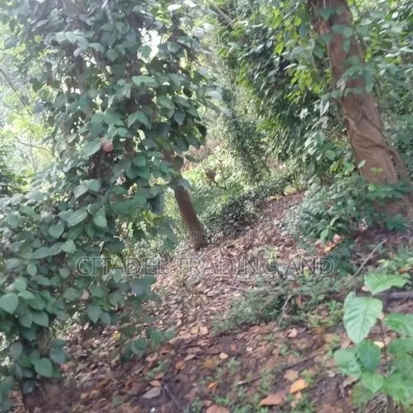 Old House With A Land For Sale In Gampola - CL929