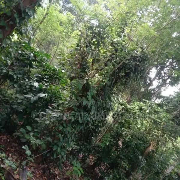 Old House With A Land For Sale In Gampola - CL929
