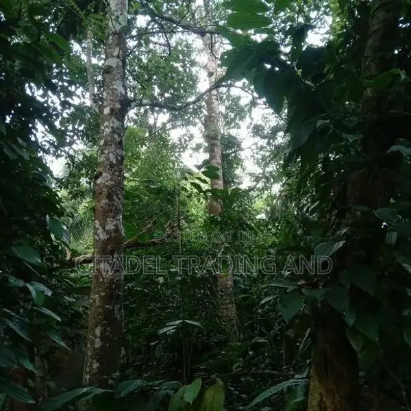Old House With A Land For Sale In Gampola - CL929