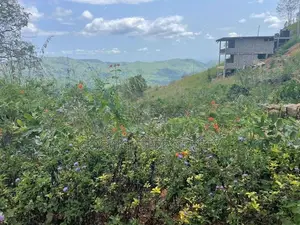20 Perch Tourism Land for Sale Near Haputale