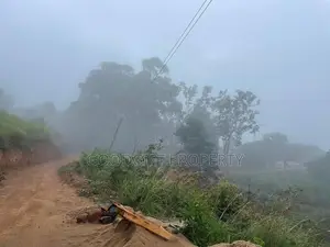 20 Perch Tourism Land for Sale Near Haputale