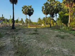 Land For Sale – Kaluwanchikudy In Batticaloa