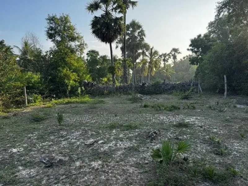 Land For Sale – Kaluwanchikudy In Batticaloa