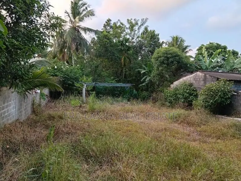 Panadura -Bandaragam පානදුර බන්ඩාරගම