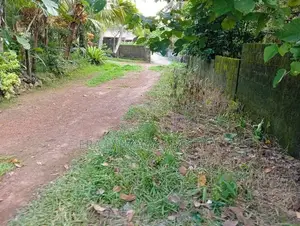 Panadura -Bandaragam පානදුර බන්ඩාරගම