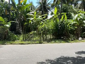 FLAT 40 PERCH LAND FOR SALE