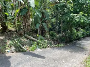 FLAT 40 PERCH LAND FOR SALE