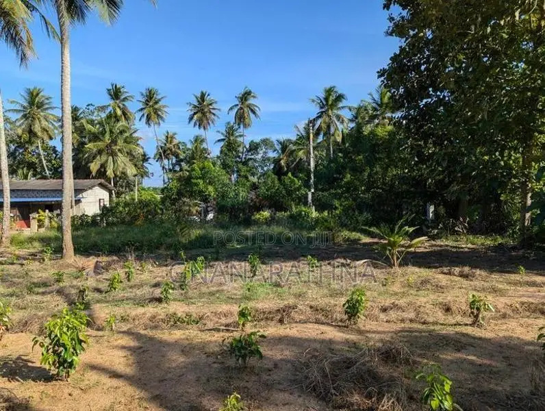 ඉඩමක් විකිණීමට - රන්න