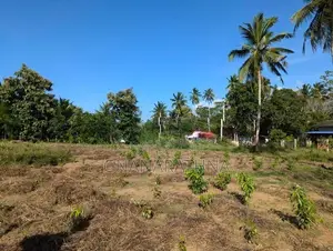 ඉඩමක් විකිණීමට - රන්න