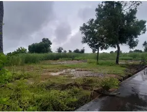 Katunayake 8p Land for Sale
