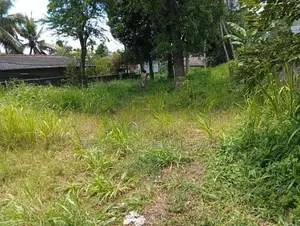 Panadura ඩයස් පෙදෙසේ වටිනා ඉඩමක්