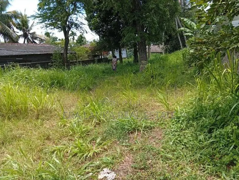 Panadura ඩයස් පෙදෙසේ වටිනා ඉඩමක්
