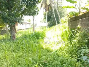 Panadura ඩයස් පෙදෙසේ වටිනා ඉඩමක්