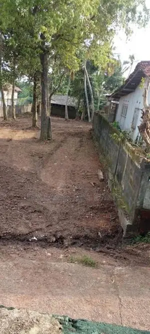 Panadura ඩයස් පෙදෙසේ වටිනා ඉඩමක්