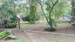 Land In Demanhandiya Negombo