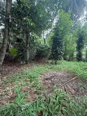 Digana - Land for Sale