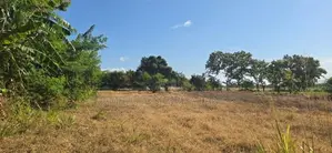 Land for Sale in Sigiriya - සීගිරියෙන් ඉඩමක් විකිණීමට