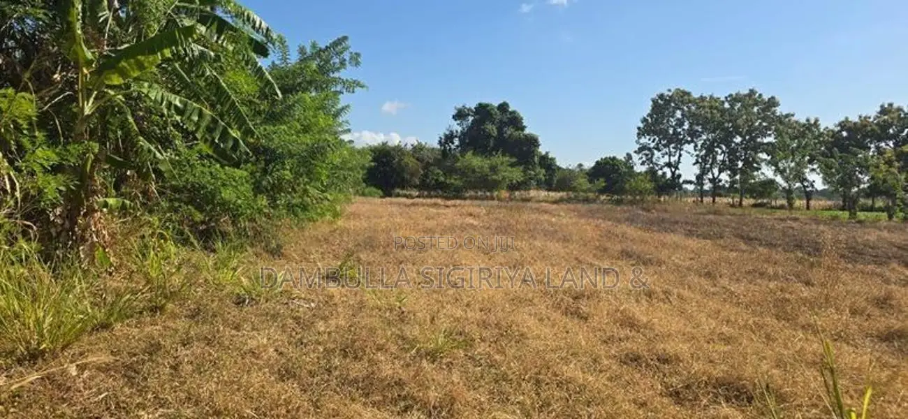 Land for Sale in Sigiriya - සීගිරියෙන් ඉඩමක් විකිණීමට