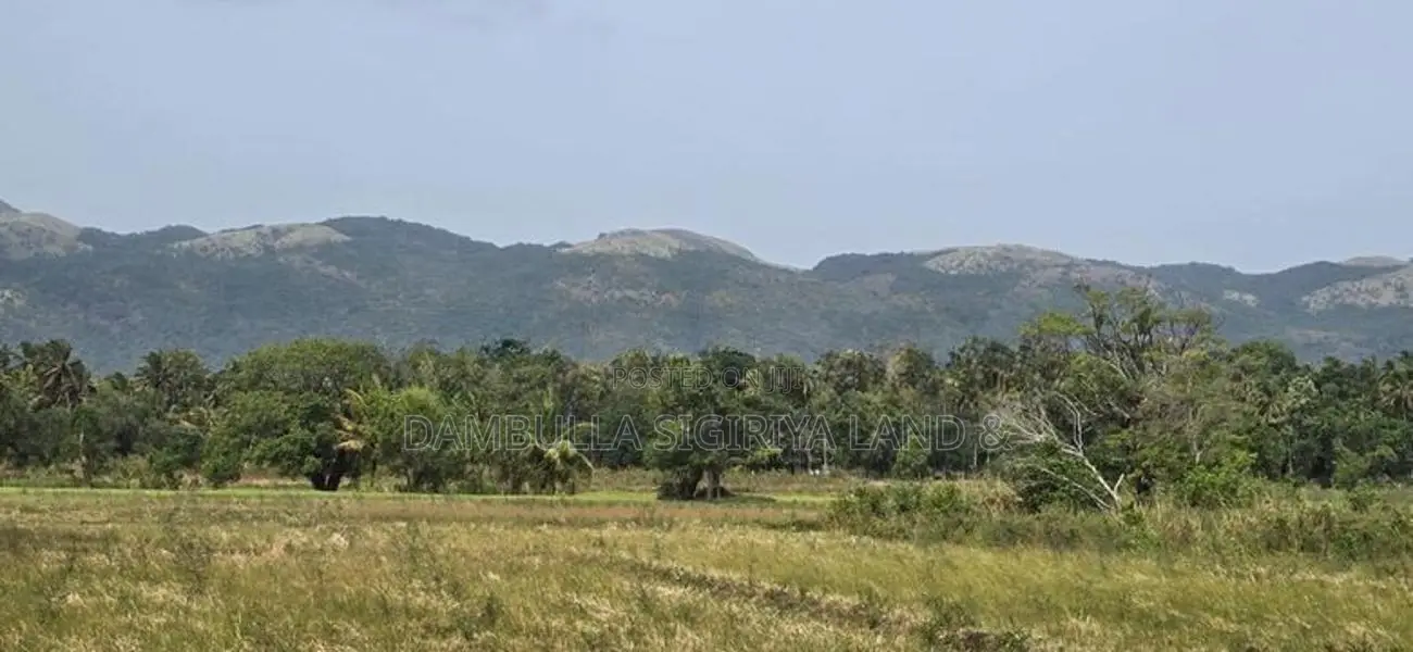 Land for Sale in Dambulla - දඹුල්ලෙන් ඉඩමක් විකිණීමට