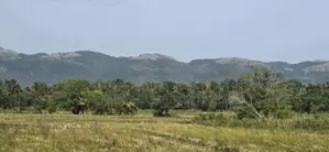 Land for Sale in Dambulla - දඹුල්ලෙන් ඉඩමක් විකිණීමට