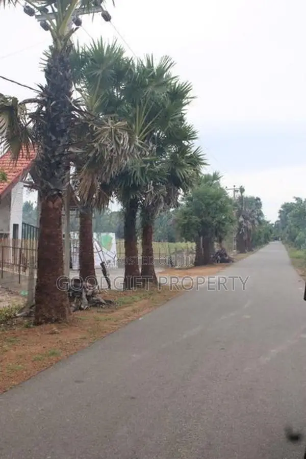 யாழ்ப்பாணம், கிழக்கு அரியாலையில் 20 Perch காணி விற்பனை