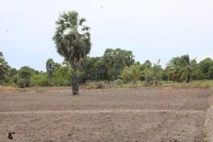 யாழ்ப்பாணம், கிழக்கு அரியாலையில் 20 Perch காணி விற்பனை