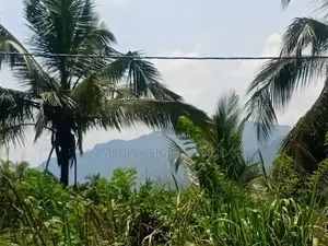 Land for Sale in Dambulla - දඹුල්ලෙන් අනර්ග ඉඩමක් විකිණීමට