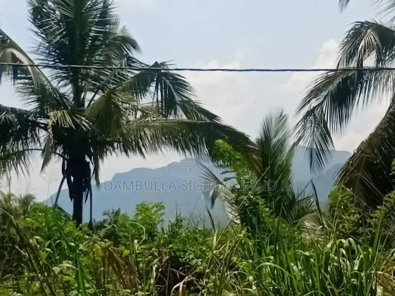 Land for Sale in Dambulla - දඹුල්ලෙන් අනර්ග ඉඩමක් විකිණීමට