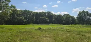 Land for sale in Sigiriya - සීගිරියෙන් ඉඩමක් විකිණීමට