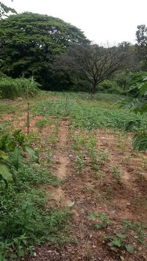 Land for Sale in Dambulla - දඹුල්ලෙන් ඉඩමක් විකිණීමට