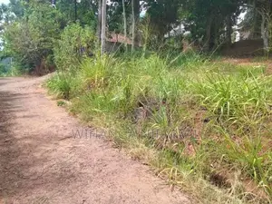 Land for Sale Haputale