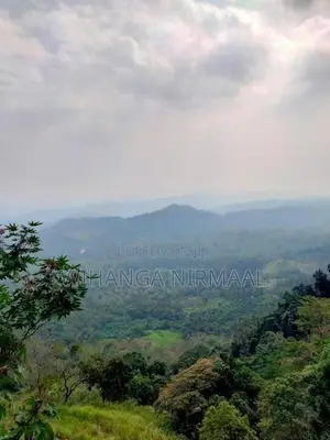 Land for Sale Haputale