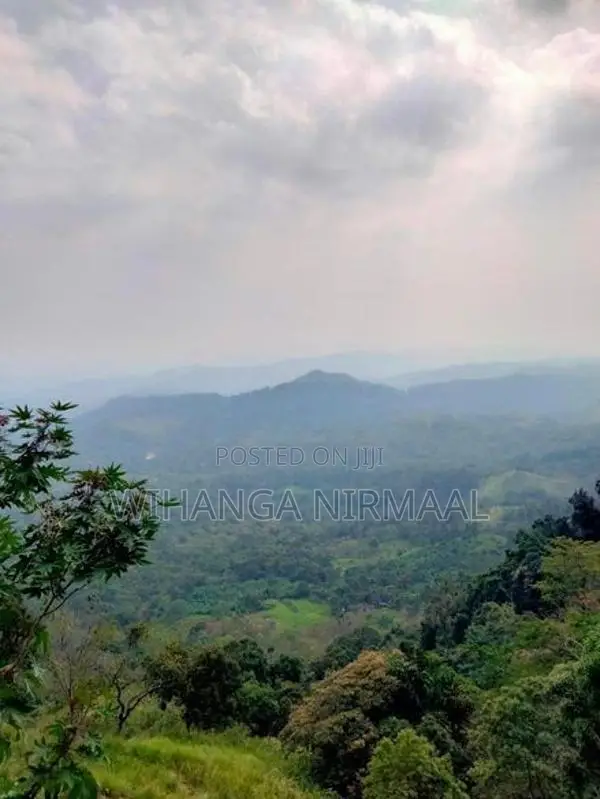 Land for Sale Haputale