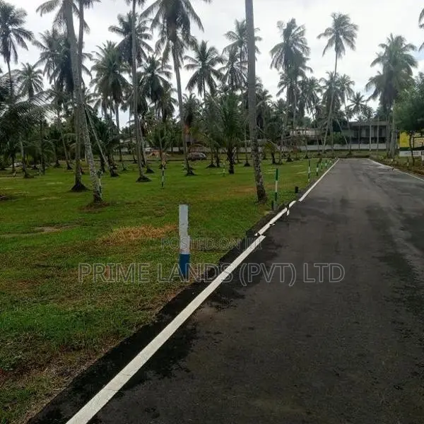 Land for Sale Veyangoda