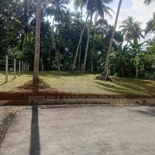Land for Sale Minuwangoda