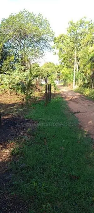 Land for Sale in Anuradapura