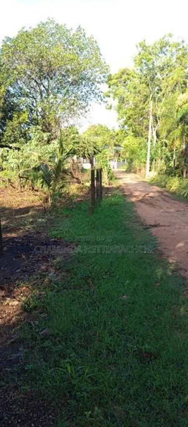 Land for Sale in Anuradapura