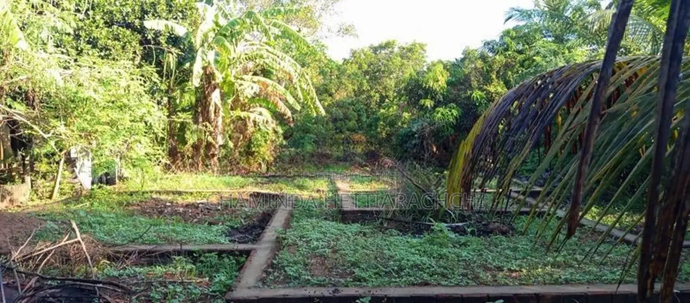 Land for Sale in Anuradapura