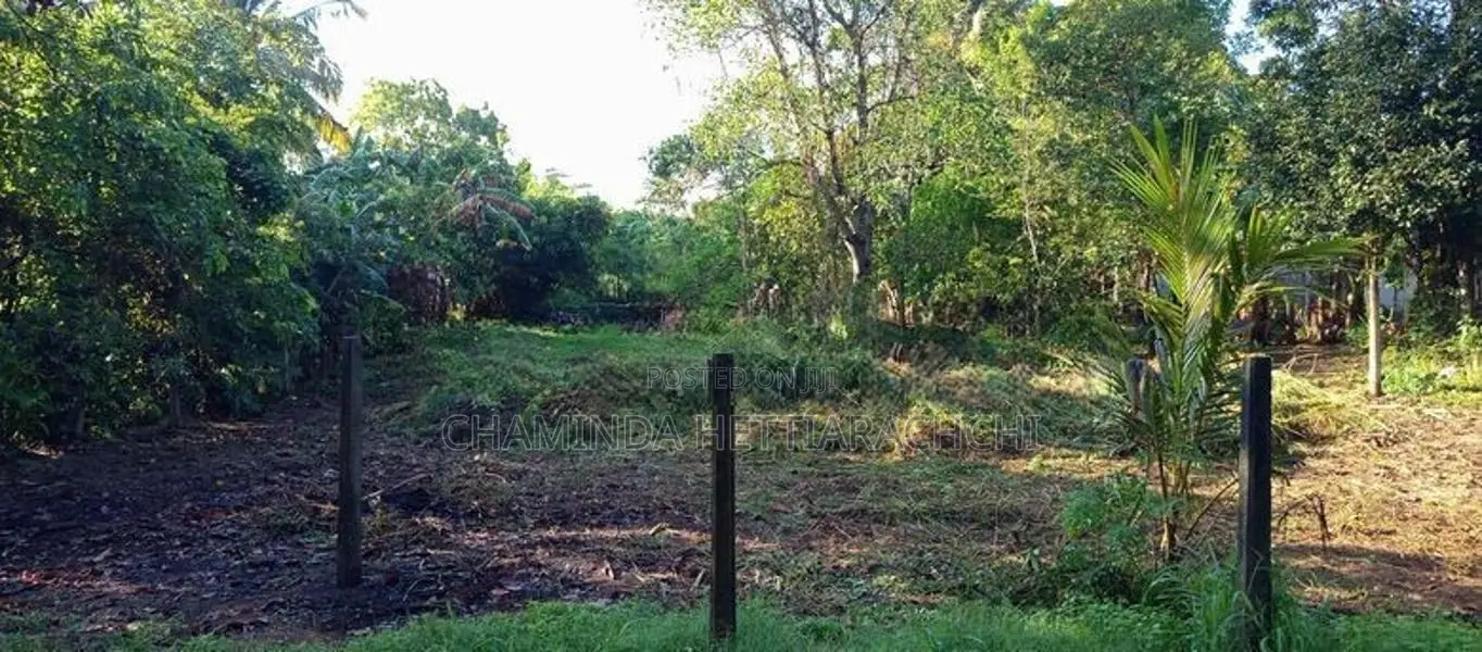 Land for Sale in Anuradapura