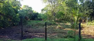 Land for Sale in Anuradapura