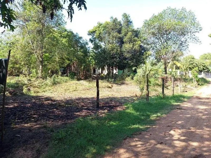 Land for Sale in Anuradapura