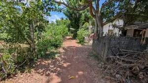 ගම්පහ වීදියවත්තෙන් පර්වස් 11.43