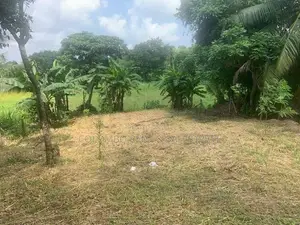 49.63 Perch Land for Sale – Pothuarawa Road, Akuregoda